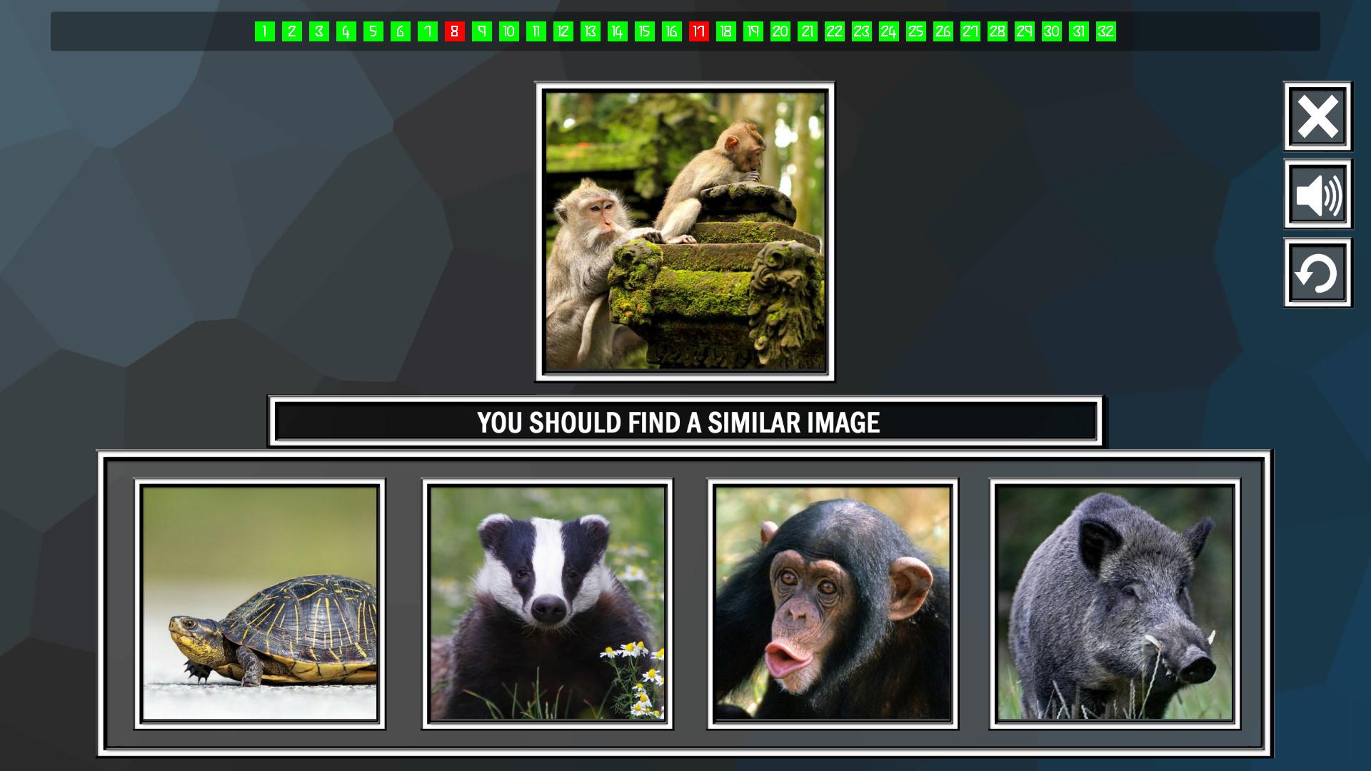 Repeat The Image: Animals ستيم كود رقمي