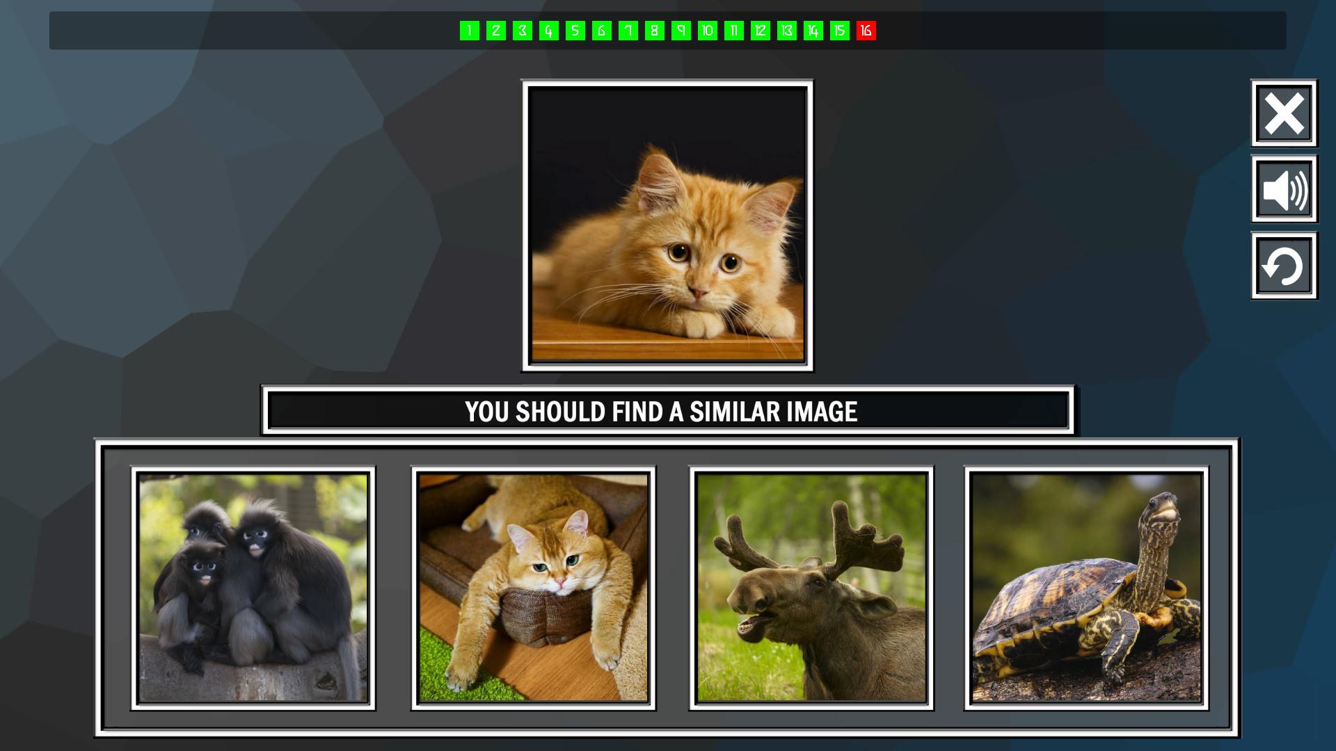 Repeat The Image: Animals ستيم كود رقمي