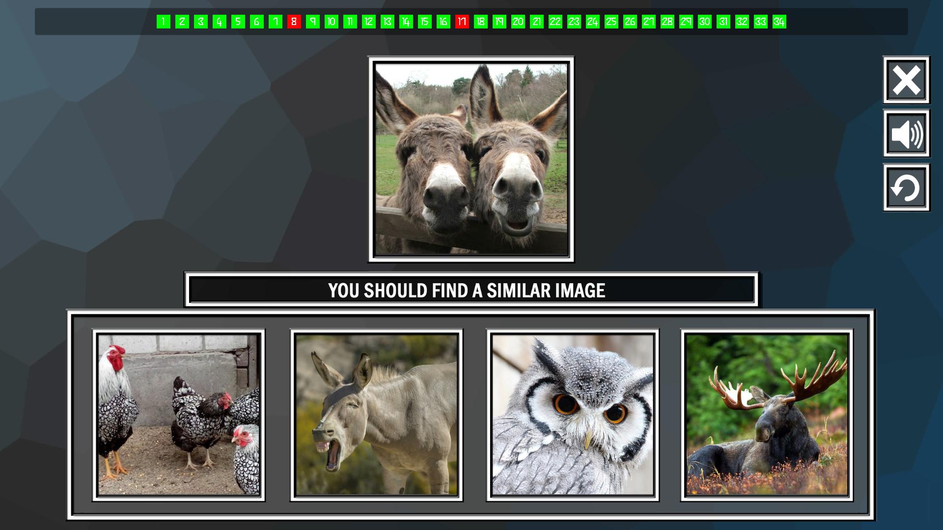 Repeat The Image: Animals ستيم كود رقمي