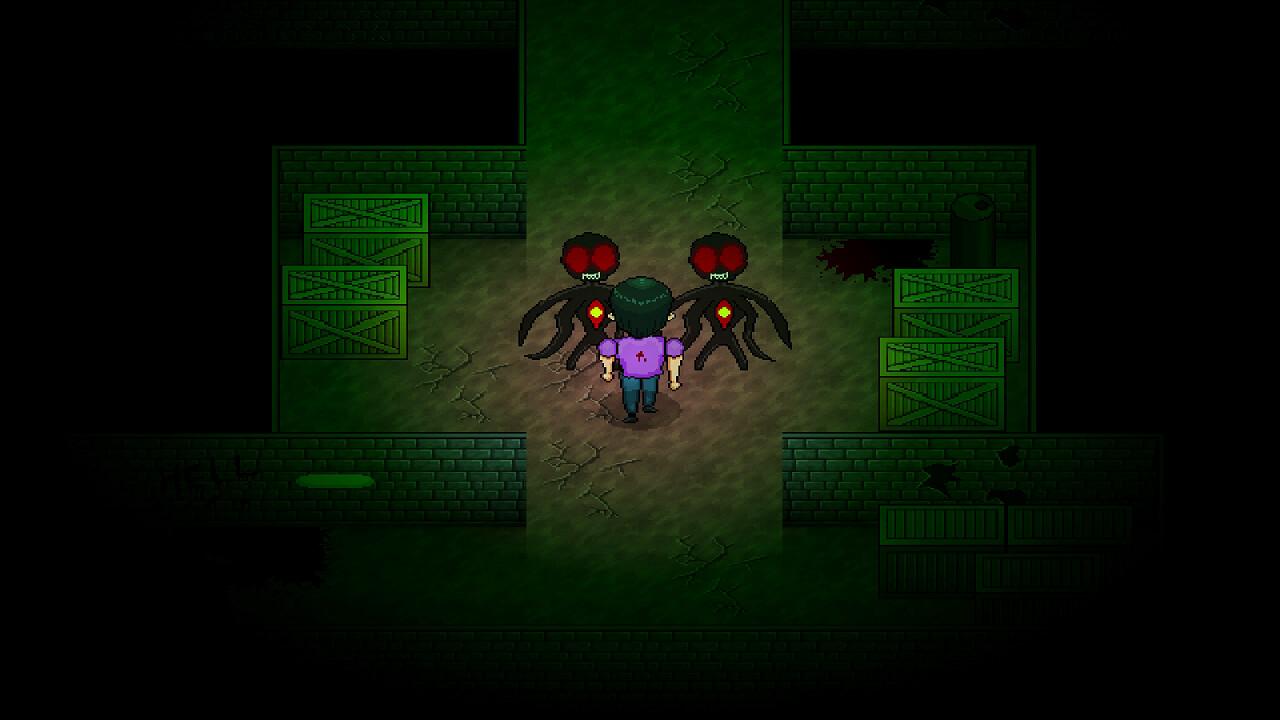 Shelley'S Haunted House ستيم كود رقمي