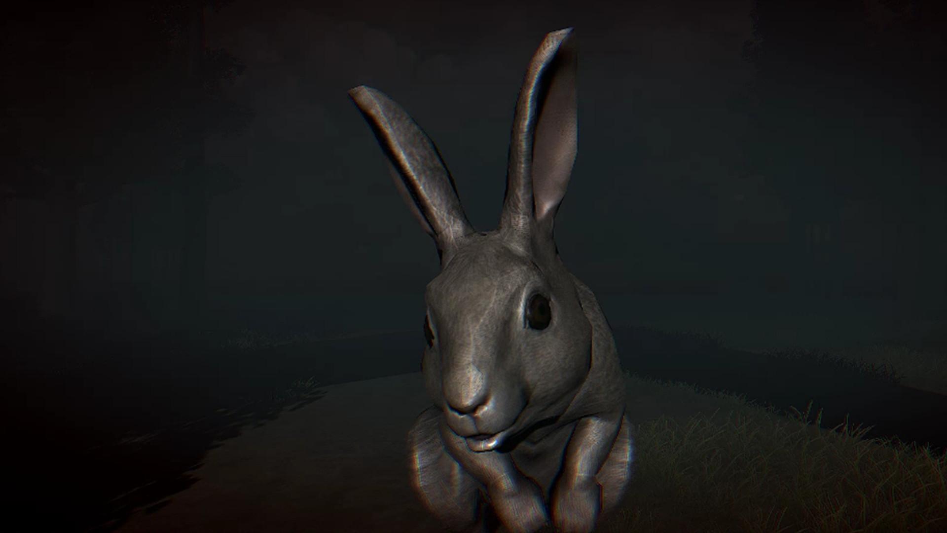 Rabbit Riot ستيم كود رقمي