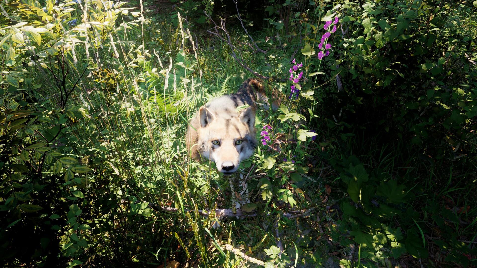 الروسية Soul Simulator ستيم كود رقمي