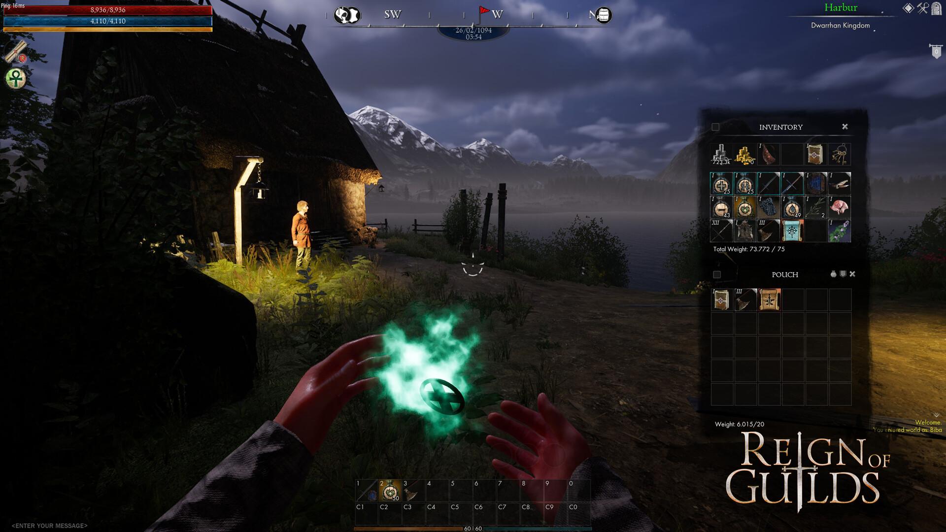 Reign Of Guilds بي سي ستيم حساب