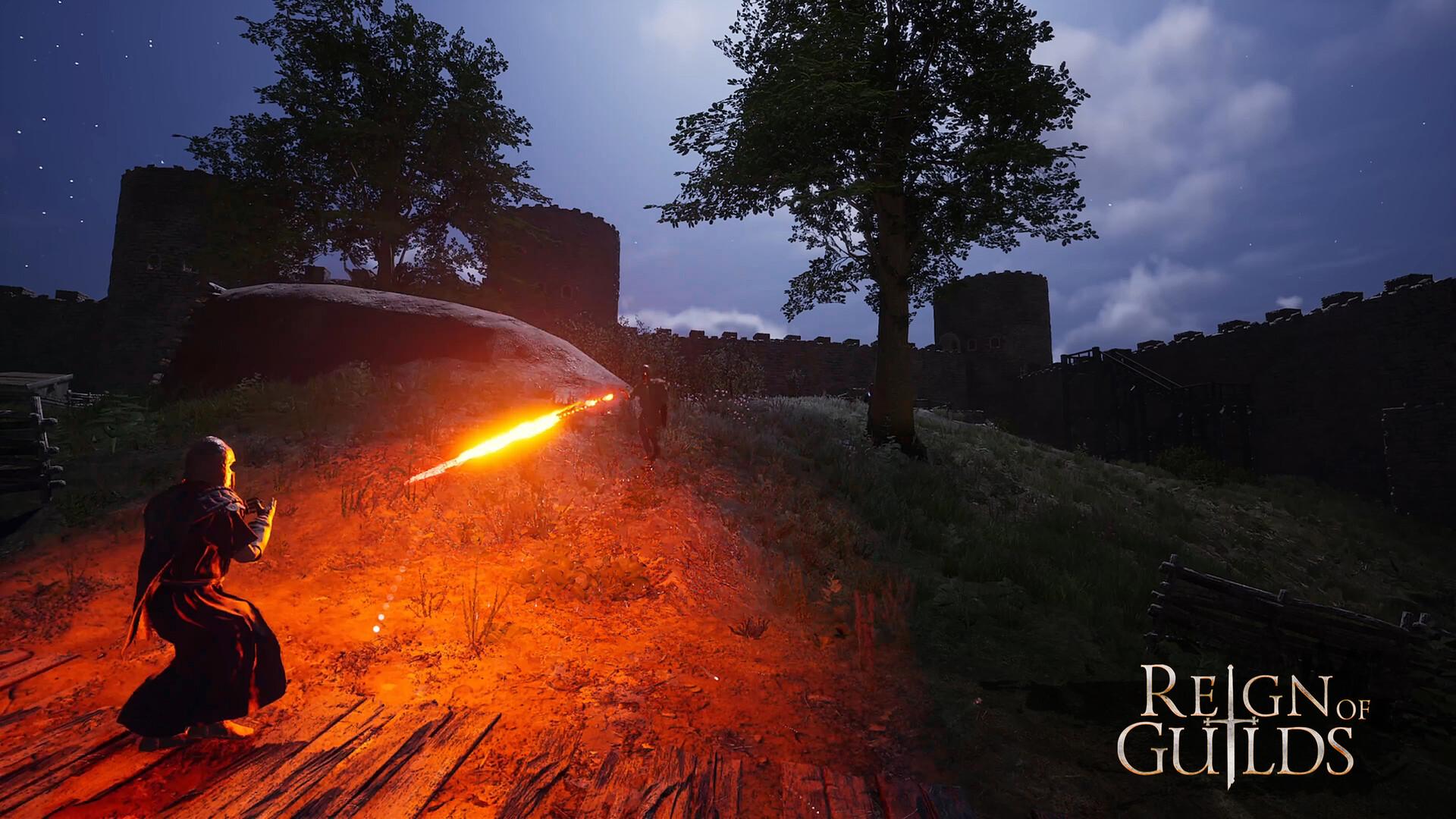 Reign Of Guilds بي سي ستيم حساب