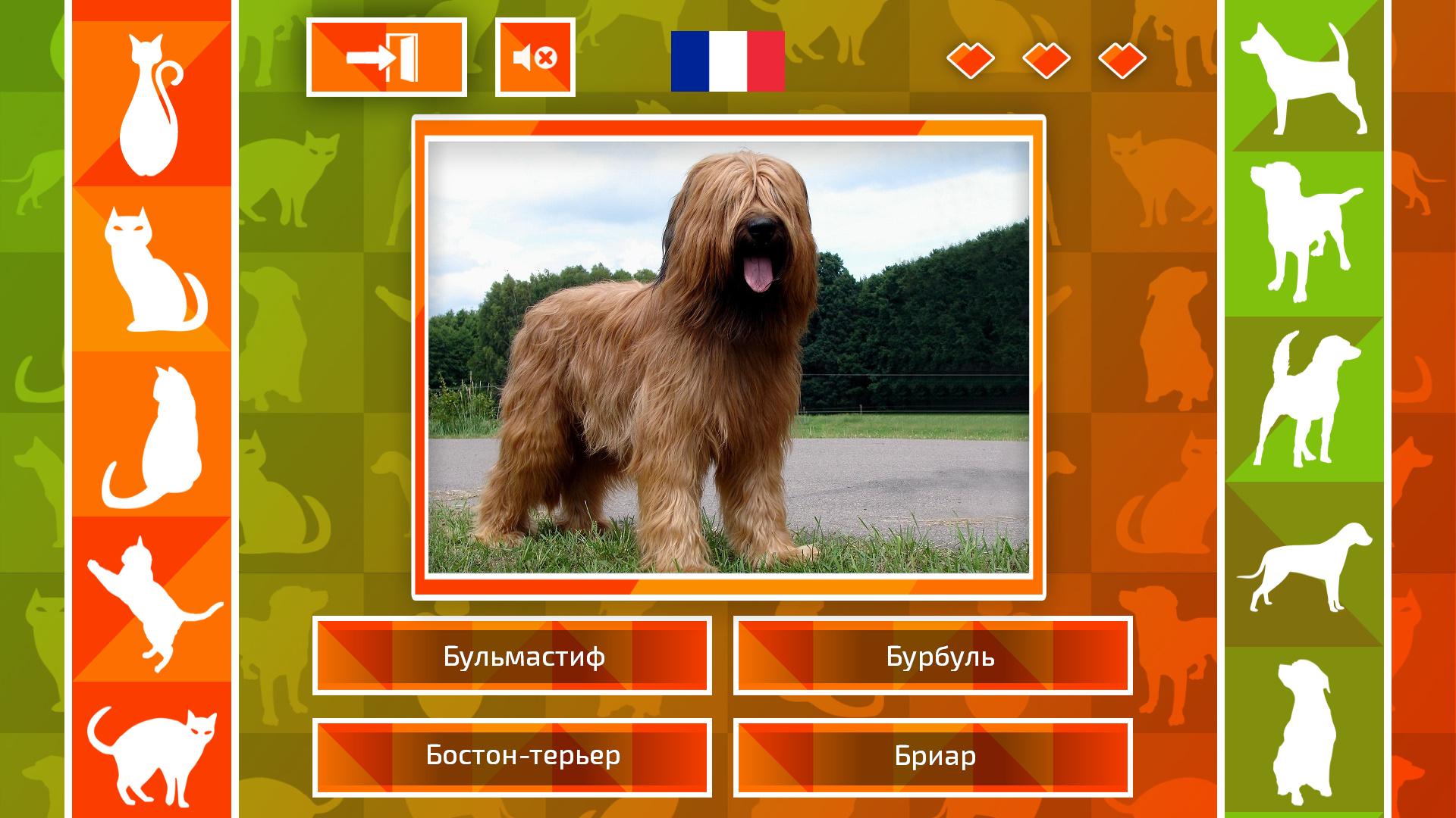 JQ: Dogs & Cats بي سي ستيم كود رقمي