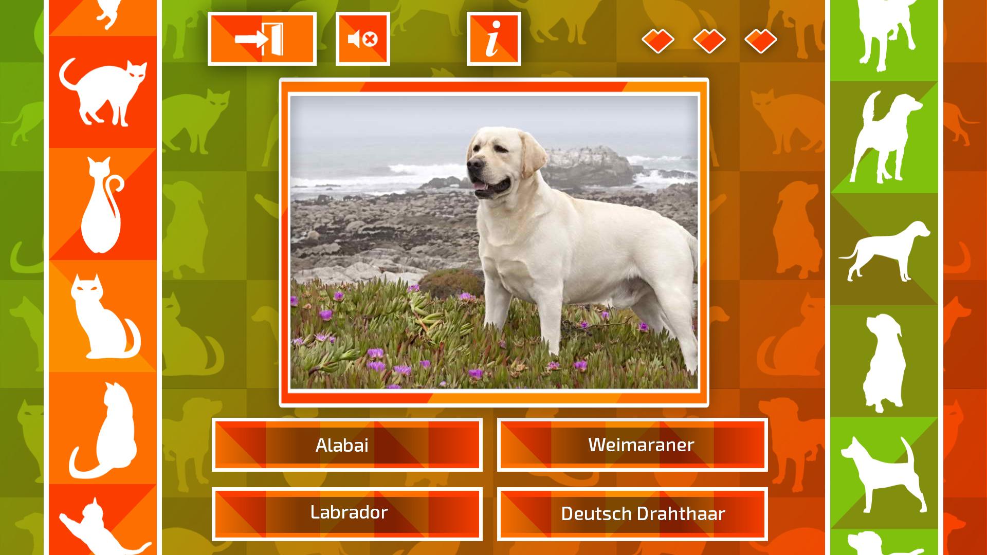 JQ: Dogs & Cats بي سي ستيم كود رقمي