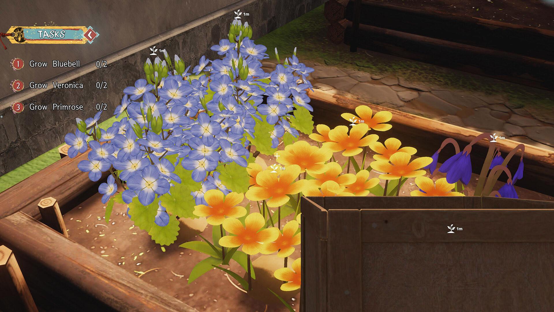 Cozy Gardener Simulator بي سي ستيم كود رقمي