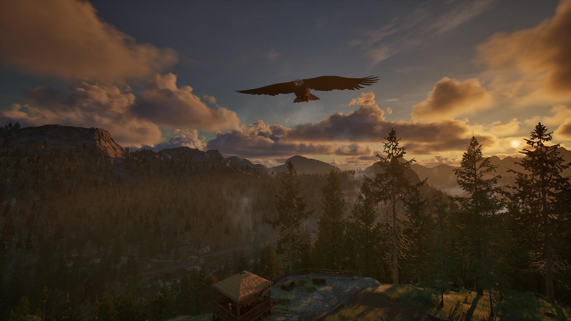 Ranger’S Path: National Park Simulator بي سي رابط هديه ستيم