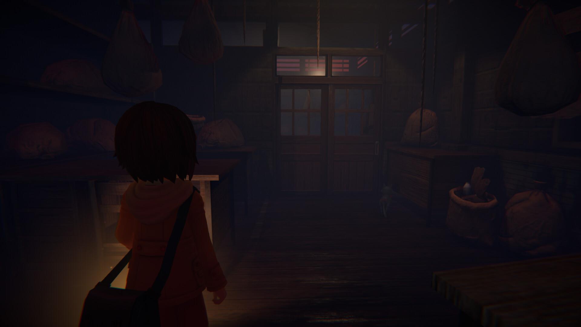 Narin: The Orange Room بي سي ستيم كود رقمي