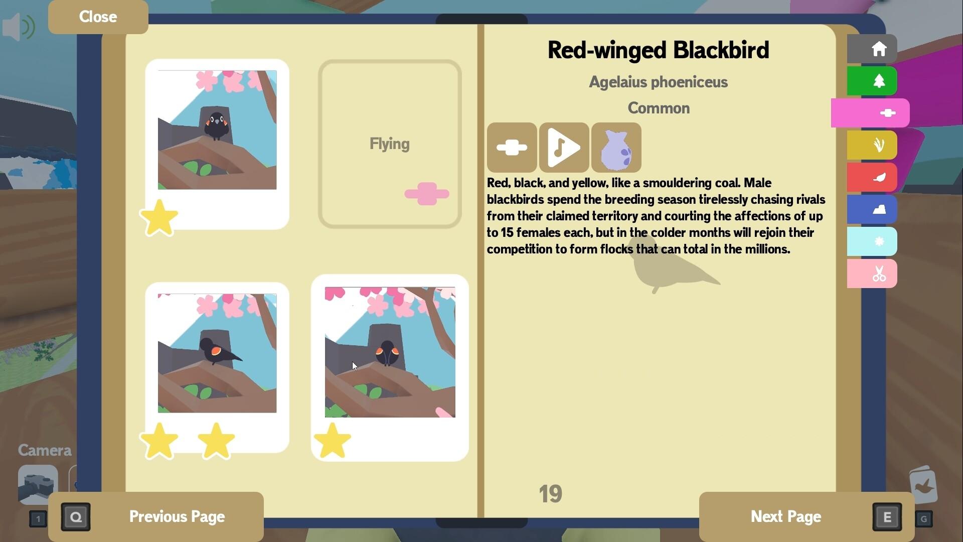 Flock Around بي سي ستيم كود رقمي