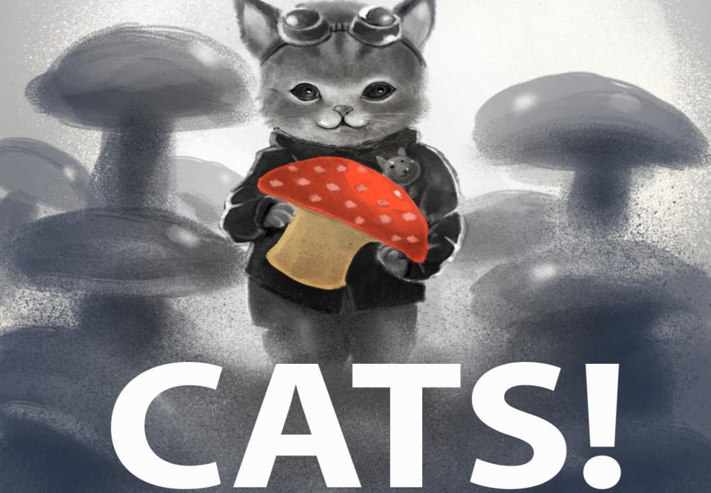 CATS! ستيم هدية
