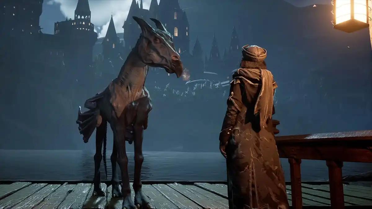 Hogwarts Legacy - Dark Arts Pack DLC رابط هديه ستيم