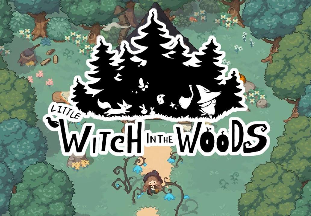 Little Witch In The Woods بي سي ستيم كود رقمي