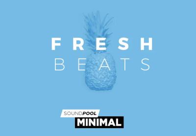 MAGIX Soundpool Fresh Beats ProducerPlanet كود رقمي