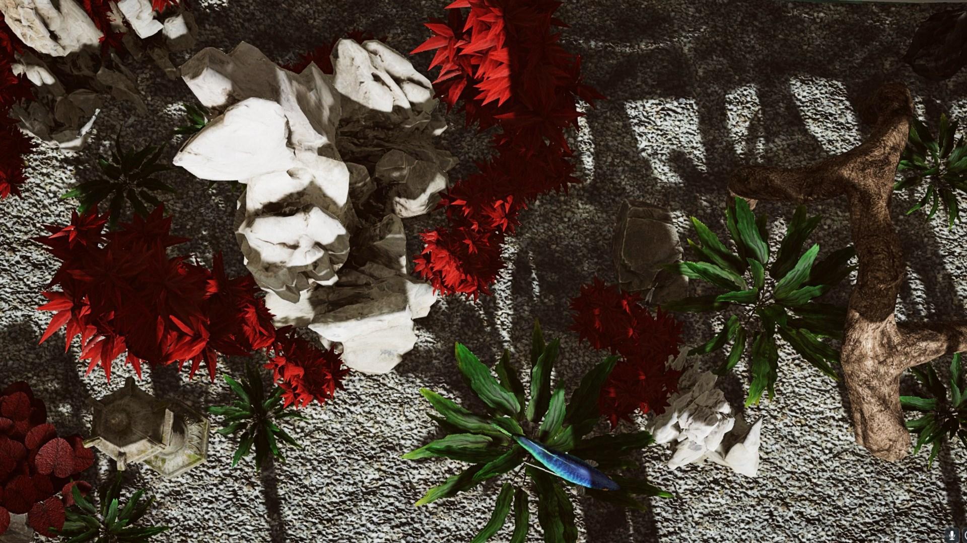 Aquarium Designer اكسبوكس 1 / إكس بوكس سيريس X|S حساب