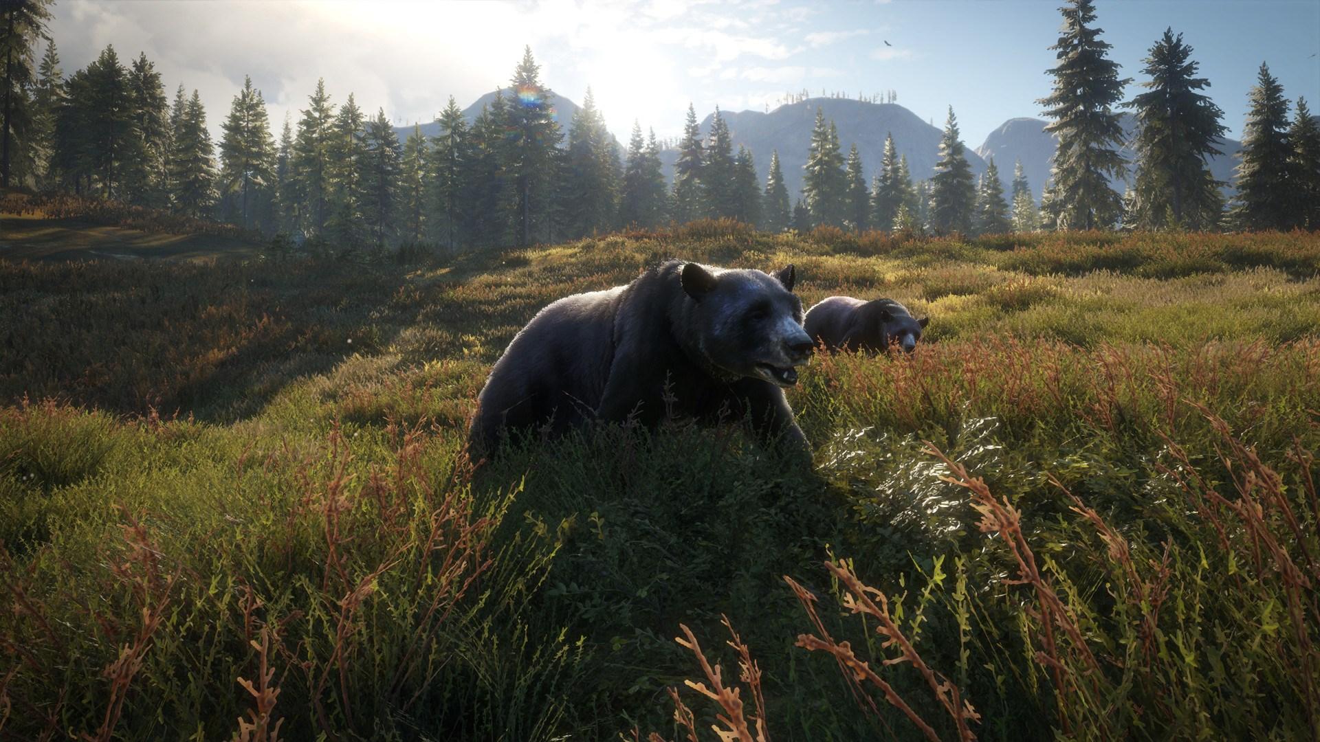 TheHunter: Call Of The Wild Silver حزمة ستيم كود رقمي