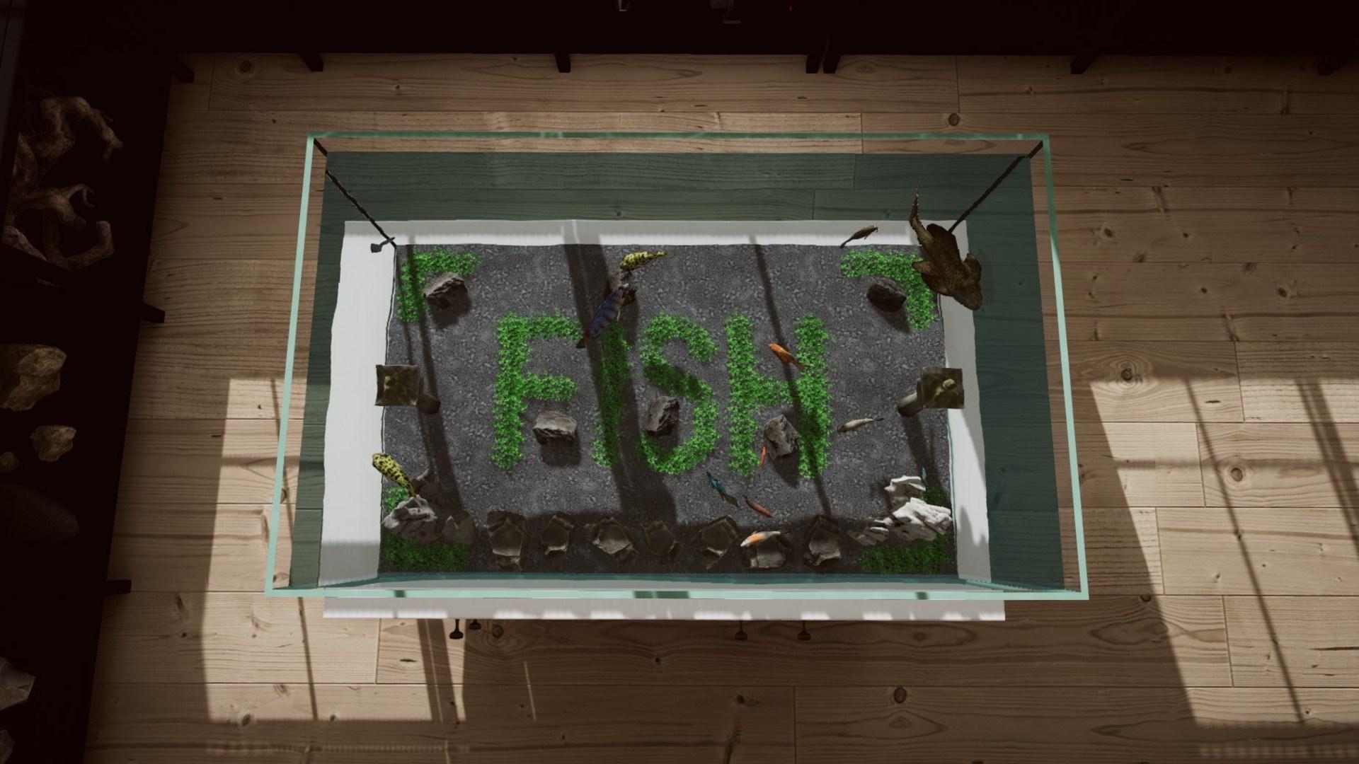 Aquarium In Cafe اكسبوكس 1 / إكس بوكس سيريس X|S حساب