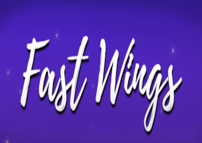 Fast Wings ستيم كود رقمي