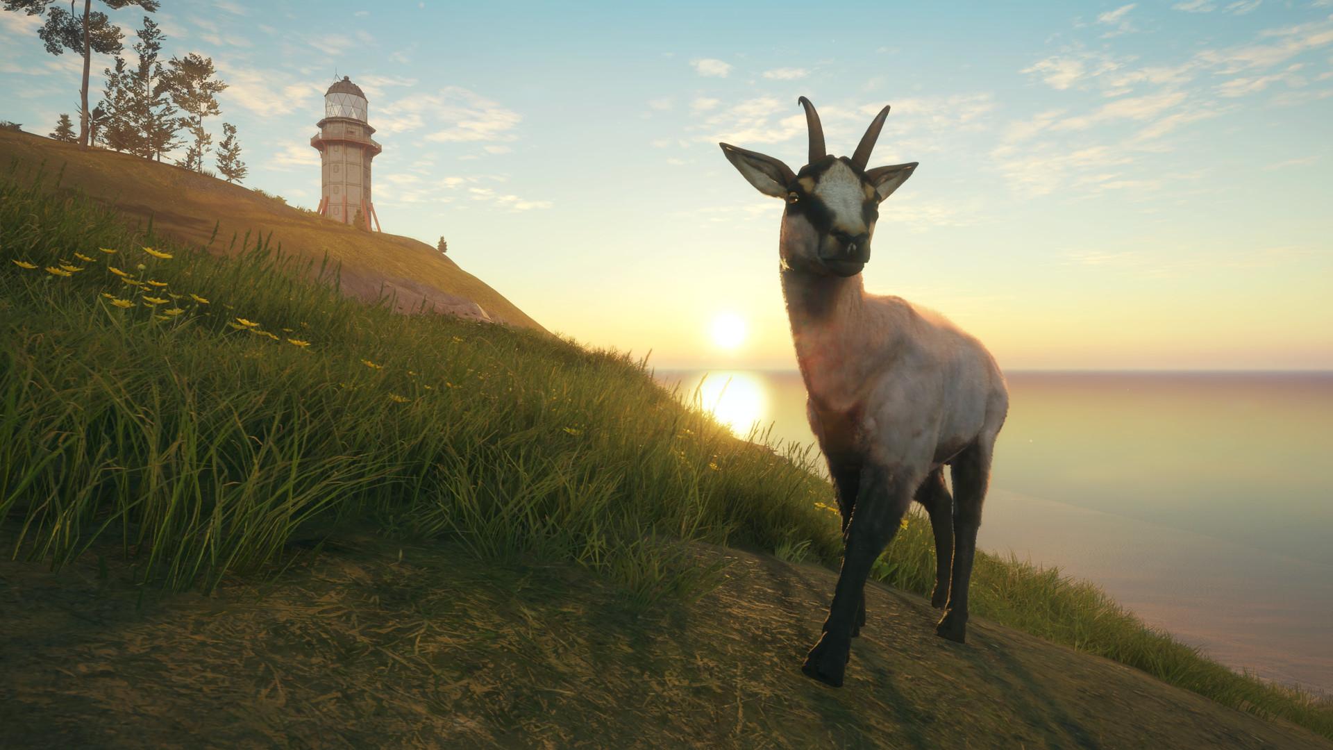 TheHunter: Call Of The Wild Starter حزمة ستيم كود رقمي