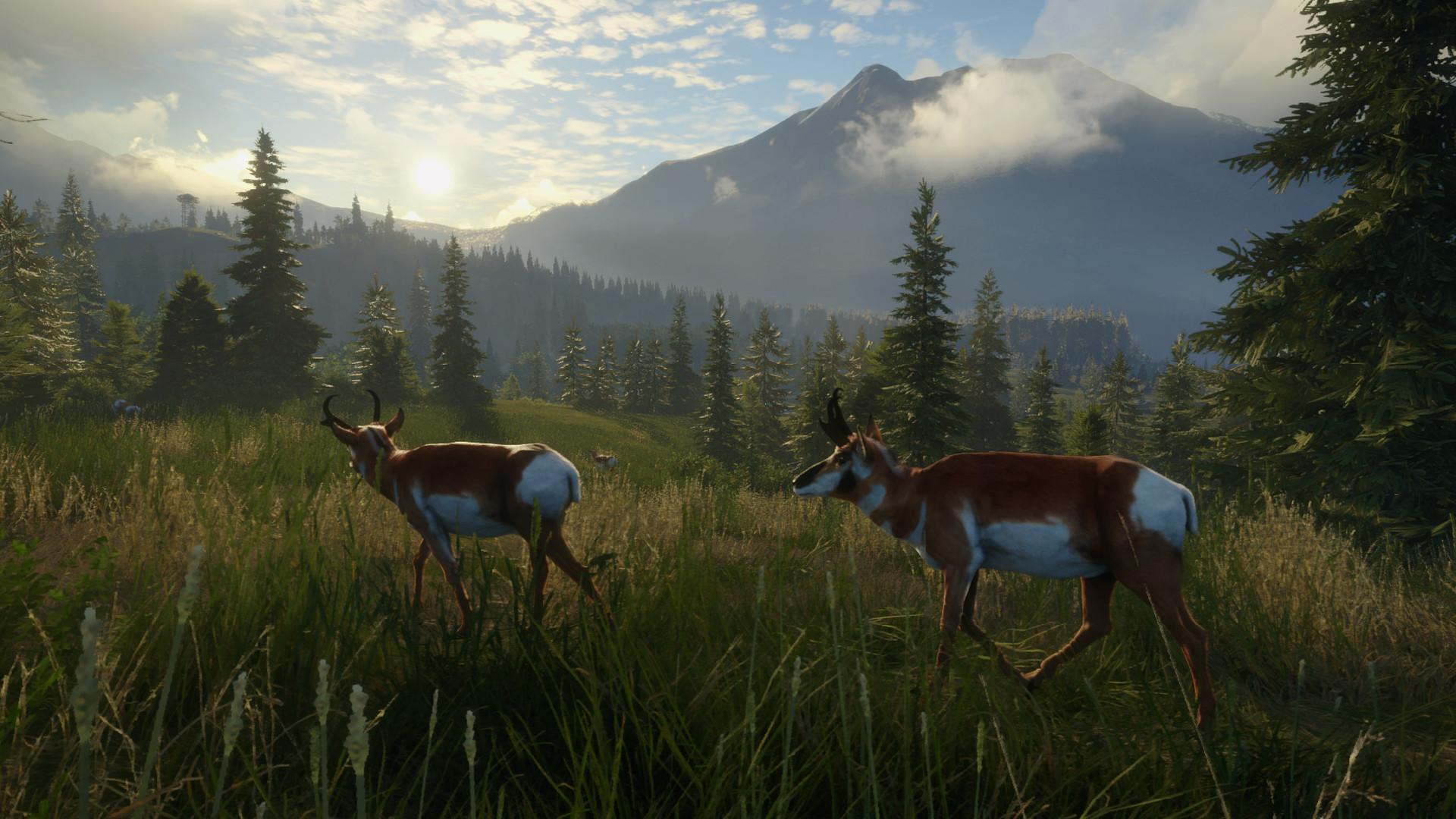 TheHunter: Call Of The Wild - Master Hunter حزمة ستيم كود رقمي