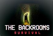The Backrooms: Survival اوروبي بلايستيشن 5 كود رقمي